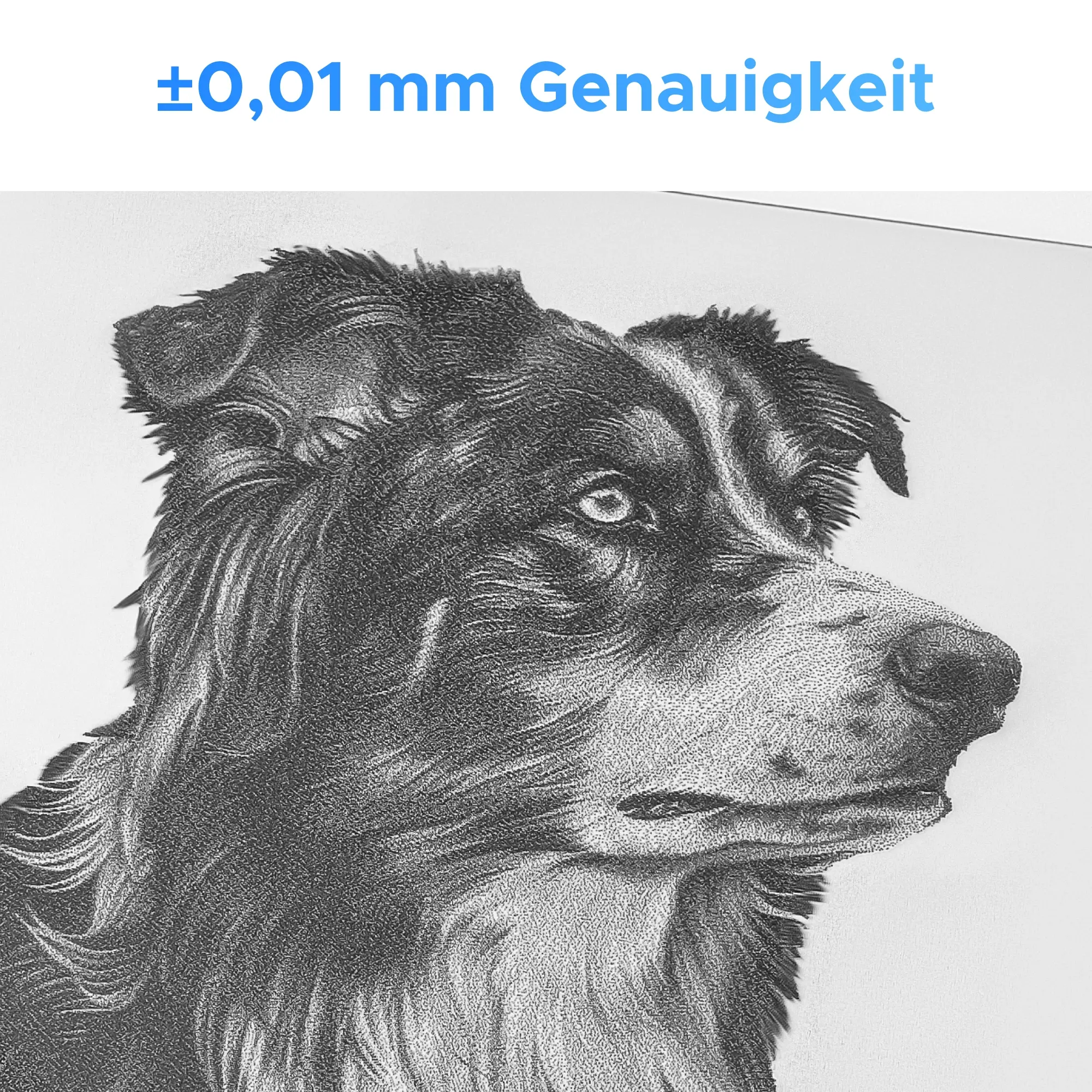 20W Faserlaser Graviermaschine mit Autofokus für Metallgravur | F20C - Image 9